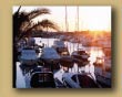 algarve- rare experienced