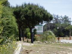 P1010131